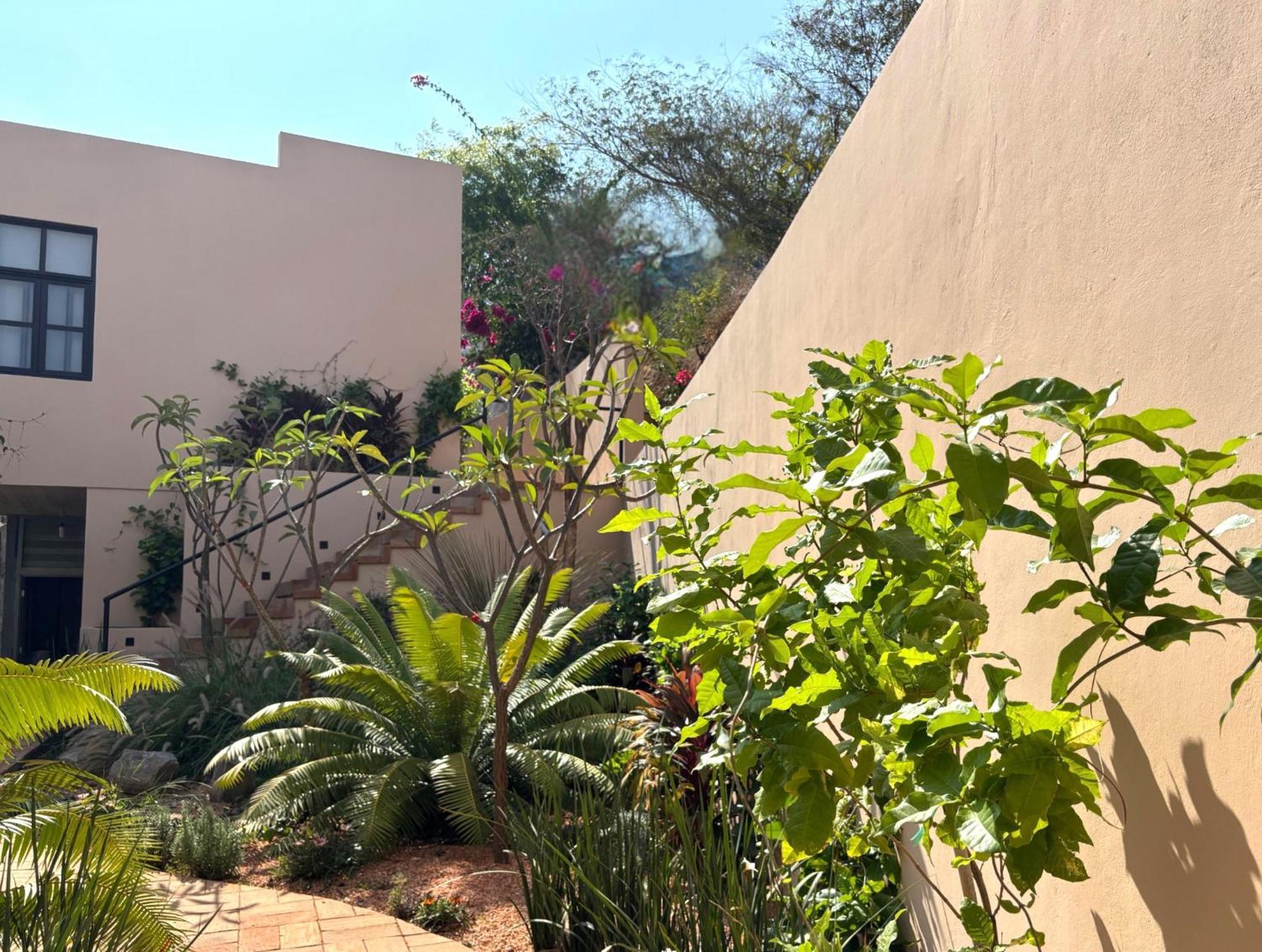 Casa Las Almas Масунте Экстерьер фото