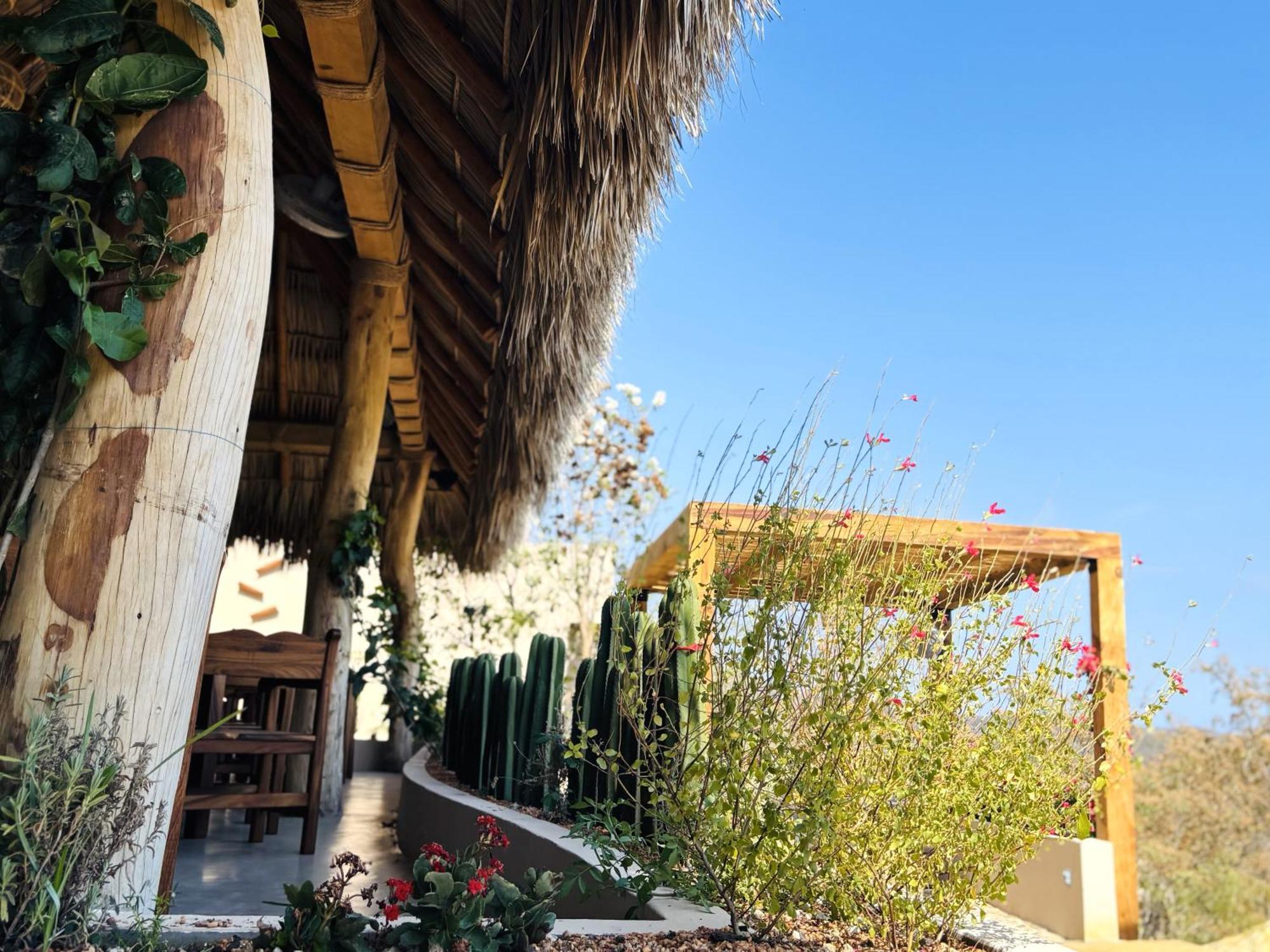 Casa Las Almas Масунте Экстерьер фото